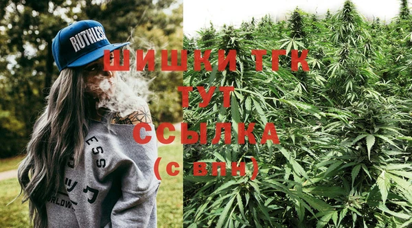 ПСИЛОЦИБИНОВЫЕ ГРИБЫ Алексеевка
